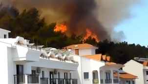 Marmaris Merkez'de Orman Yangını!
