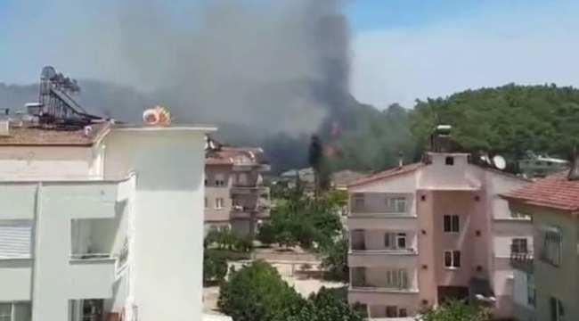 Antalya Kemer'de yangın çıktı