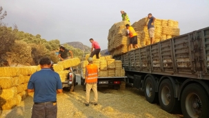 Bodrum Belediyesi Yangın Mağdurlarına Destek Olamaya Devam Ediyor