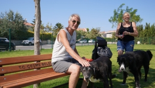 Çeşme'de köpeklere özel 'Pati Park'