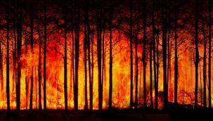 IPCC Uyardı: "İklim Değişikliğini Sınırlandırmak İçin Derhal Harekete Geçilmeli"