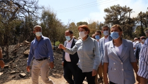 Meral Akşener: "Yanan Alanlara Dikilecek Bütün Betonları Yıkacağız"