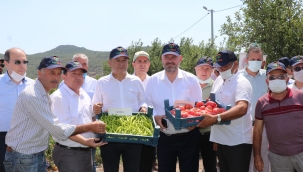 Yerli ve Milli Sebzeler Tarla Gününde Tanıtıldı