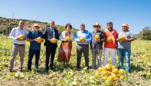 Çeşme kavunu tescillendi