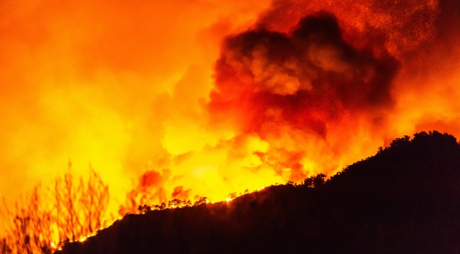 Türkiye İçin Orman Yangını Risk Haritası Şart!