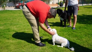 Başkan Oran'dan hayvanseverlere müjde; Köpeklere özel 5 'Pati Park' daha geliyor!