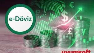 Dikkat ! e-Döviz Alım- Satım belgeleri uygulaması yeni yılda başlıyor