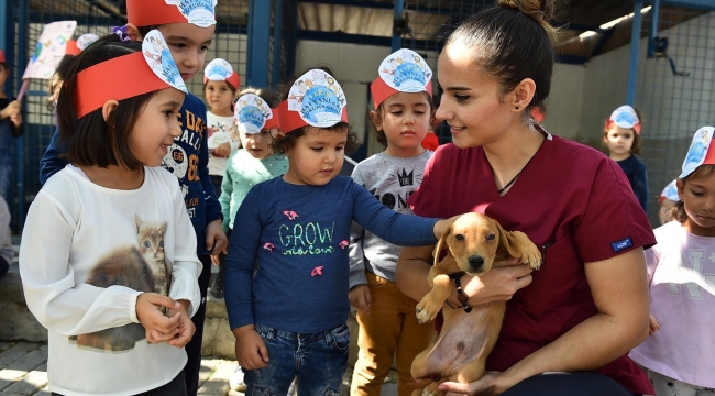 İzmir'de sokak hayvanları için büyük işbirliği 