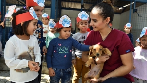 İzmir'de sokak hayvanları için büyük işbirliği 