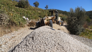 Başkan Kayalar Çiftçinin Yanında