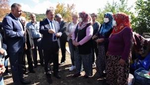 Bornova'da Zeytin Yetiştirme Teknikleri eğitimi