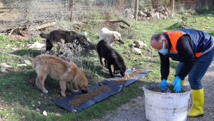 Buca'da kırsaldaki can dostlarına mama desteği