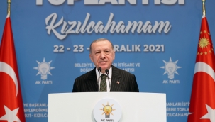 Erdoğan'dan belediyelere: Sahipsiz hayvanlar için önlem alın