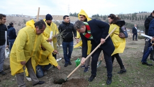 'Yeşil Karşıyaka' için 40 bin fidan 