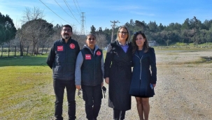 Bölünmez Çankırı'dan hayvan severlere müjde 