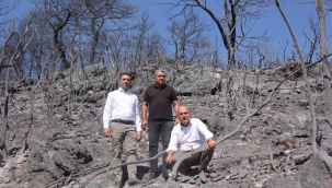 CHP'li Bakan: Yangın sezonu değişmeli ve tüm yıla yayılmalı!
