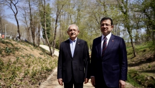 Kılıçdaroğlu: Belediye Başkanlarımız Engelleri Aşıyor: Başarı İstanbul'un
