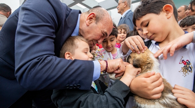 Türkiye'ye örnek Pako Sokak Hayvanları Sosyal Yaşam Kampüsü açıldı