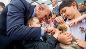 Türkiye'ye örnek Pako Sokak Hayvanları Sosyal Yaşam Kampüsü açıldı