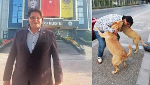 AK Partili İnce'den sokak köpekleri çıkışı