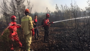 AKUT Marmaris yangınının ilk anından itibaren görev başında!