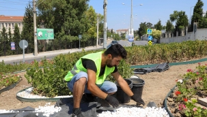 Buca sokaklarında yaz çiçekleri zamanı