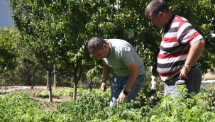 Yerel üreticiye yerinde destek 