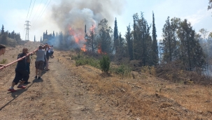 Akıllı İhbar Sistemi tespit etti, ekipler 13 dakikada yangına ulaştı Bornova'daki yangına müdahale ediliyor 