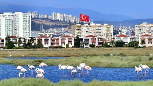 Flamingolar İzmirlileri büyülüyor 