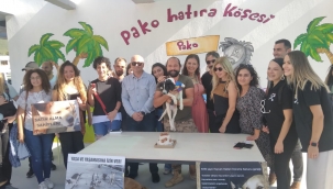 Satın alma sahiplen 4 Ekim Hayvanları Koruma Günü Pako'da kutlandı 
