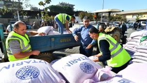 Yeni sezonda karakılçık buğdayı tohumu dağıtımı Ödemiş'ten başladı 