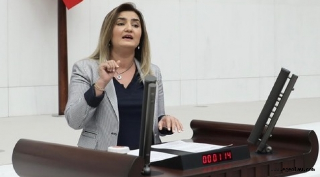 CHP İzmir Milletvekili Av. Sevda Erdan Kılıç: "İzmir'de geçen yıl Foça nüfusu kadar abonenin elektriği kesildi" 