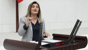 CHP İzmir Milletvekili Av. Sevda Erdan Kılıç: "İzmir'de geçen yıl Foça nüfusu kadar abonenin elektriği kesildi" 