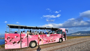 Flamingo Yolu turu 4 binin üzerinde ziyaretçi ağırladı 