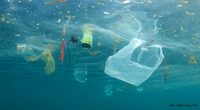 Okyanusların tabanında 14 milyon tondan fazla mikroplastik birikti!