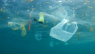 Okyanusların tabanında 14 milyon tondan fazla mikroplastik birikti! 