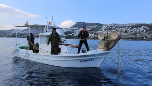 Muğla Balıkçıları Bu Kez Afetzedeler için Ağ Attı
