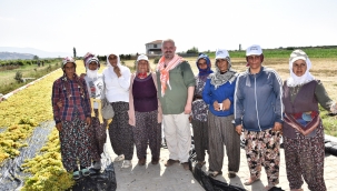 Pehlivan'dan Kadınlar Günü Mesajı 