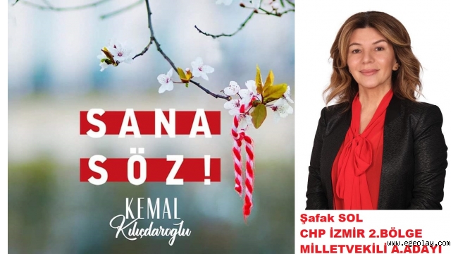 Sol'Kadınları yalnızca seçmen olarak görmeyin'