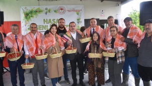 AK Partili Kırkpınar ilk kiraz hasadına katıldı 