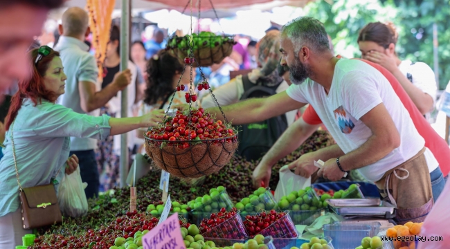 Buca'nın Kiraz Festivali'ne geri sayım başladı