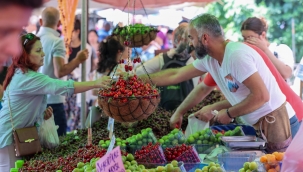 Buca'nın Kiraz Festivali'ne geri sayım başladı 