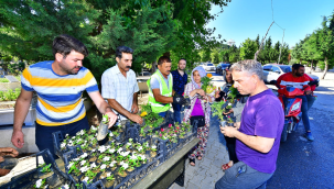İzmir Büyükşehir Belediyesi'nden mezarlıklarda çiçek sürprizi 