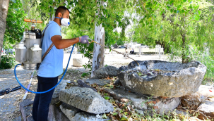 İzmir'de sivrisineklere karşı etkin mücadele 