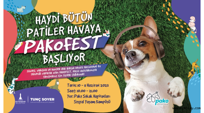 Pati dostları bu festivalde buluşacak 