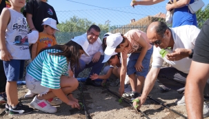 Seferihisar tarımının yeni yıldızı: Ekinezya 