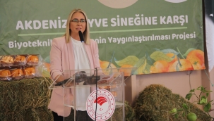  Ak Partili Çankırı'dan CHP'li Başkan Soyer'e "U Dönüşü" Göndermesi 