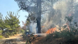 Çanakkale'deki yangına İzmir'den destek 