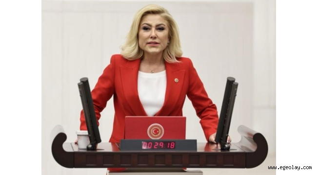 Bursalı: Bunlardan İzmir'e Hayır Gelmez