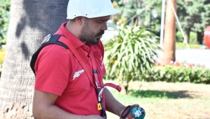 İzmir'in palmiyeleri için alarm sistemi 